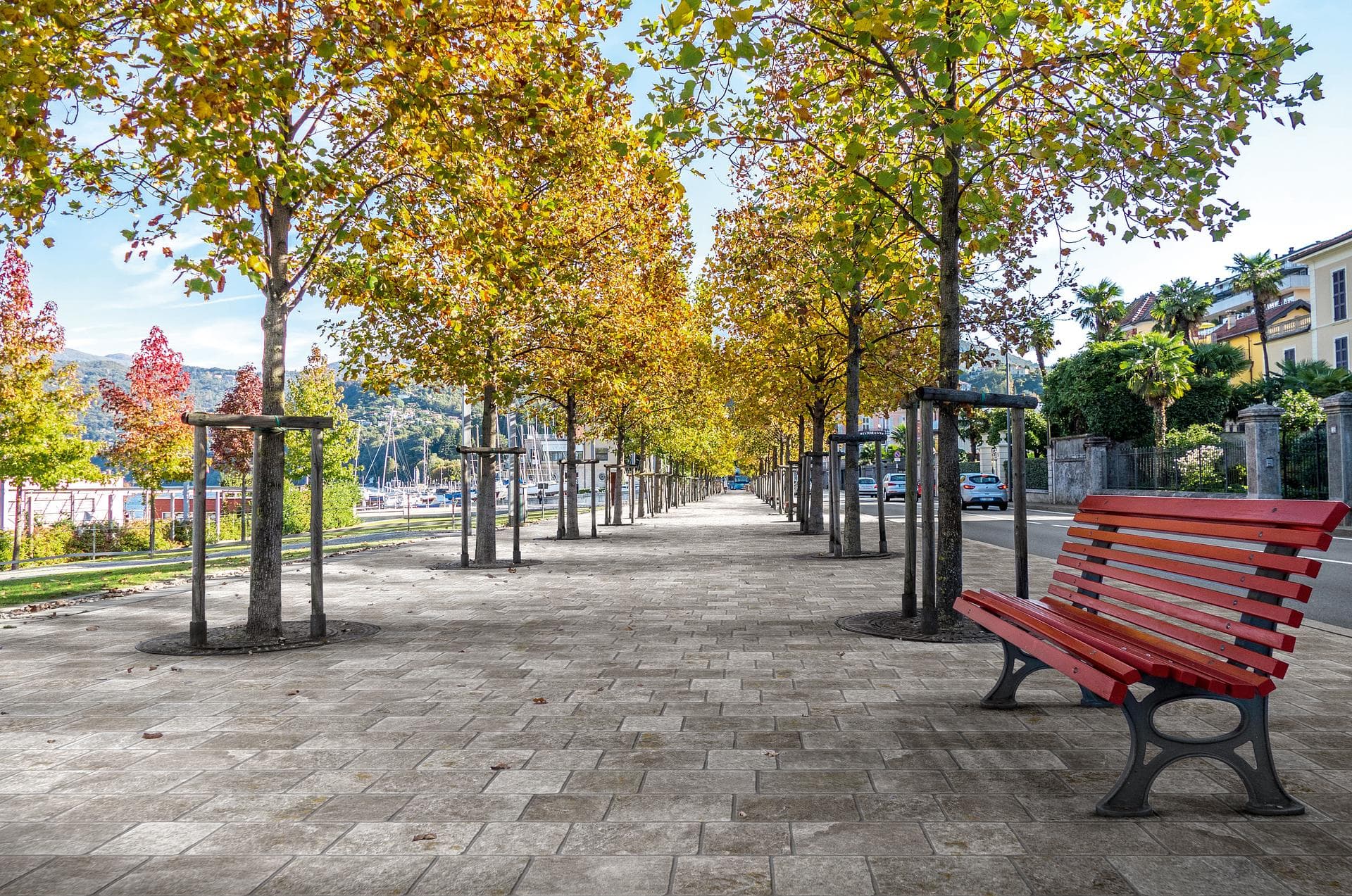 Lakeside promenade with bench and trees Tree-lined lakeside promenade paved with matt grey quartzite-effect tiles laid in modular bands
